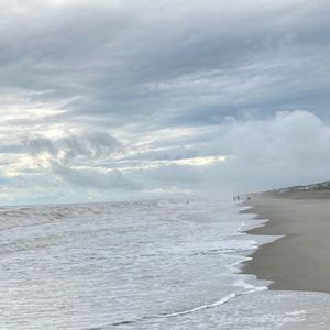 Meet your Posher, Madeleine